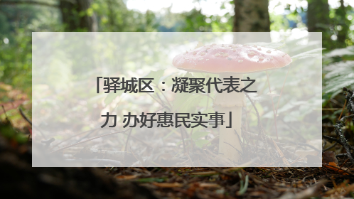 驿城区：凝聚代表之力 办好惠民实事
