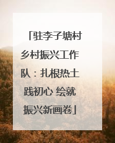 驻李子塘村乡村振兴工作队：扎根热土践初心 绘就振兴新画卷
