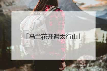 马兰花开遍太行山