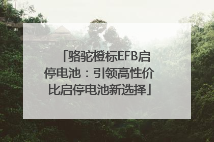 骆驼橙标EFB启停电池：引领高性价比启停电池新选择