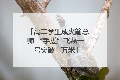 高二学生成火箭总师 “手搓”飞燕一号突破一万米