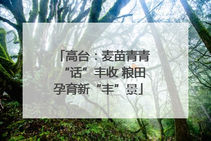 高台：麦苗青青“话”丰收 粮田孕育新“丰”景