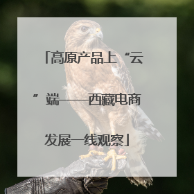 高原产品上“云”端——西藏电商发展一线观察