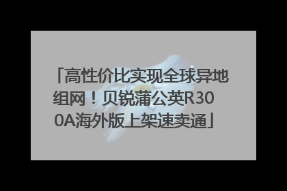 高性价比实现全球异地组网！贝锐蒲公英R300A海外版上架速卖通