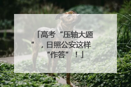 高考“压轴大题”，日照公安这样“作答”！
