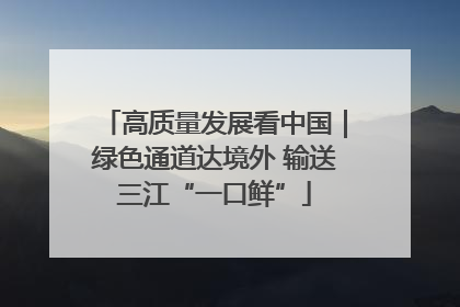 高质量发展看中国｜绿色通道达境外 输送三江“一口鲜”