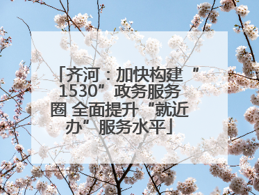齐河：加快构建“1530”政务服务圈 全面提升“就近办”服务水平