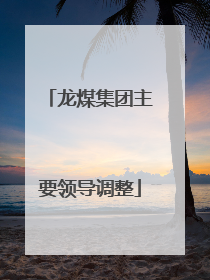 龙煤集团主要领导调整