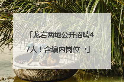 龙岩两地公开招聘47人！含编内岗位→