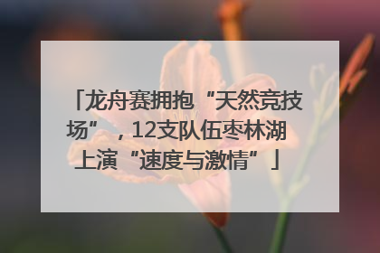 龙舟赛拥抱“天然竞技场”，12支队伍枣林湖上演“速度与激情”