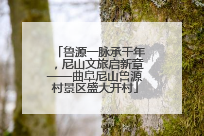鲁源一脉承千年，尼山文旅启新章——曲阜尼山鲁源村景区盛大开村
