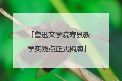 鲁迅文学院寿县教学实践点正式揭牌