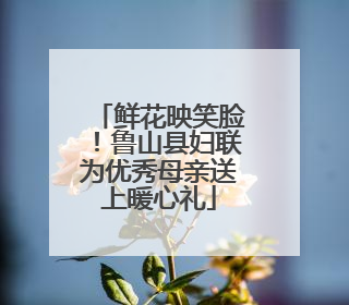 鲜花映笑脸！鲁山县妇联为优秀母亲送上暖心礼