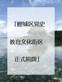 鲤城区党史教育文化街区正式揭牌