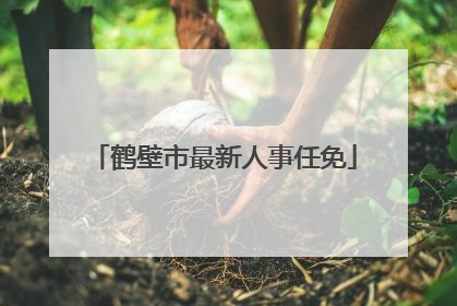 鹤壁市最新人事任免