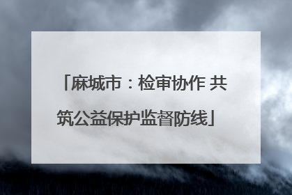 麻城市：检审协作 共筑公益保护监督防线