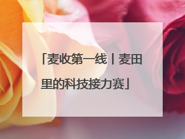 麦收第一线丨麦田里的科技接力赛