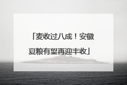 麦收过八成！安徽夏粮有望再迎丰收