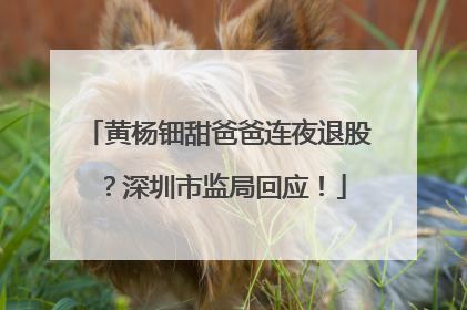黄杨钿甜爸爸连夜退股？深圳市监局回应！