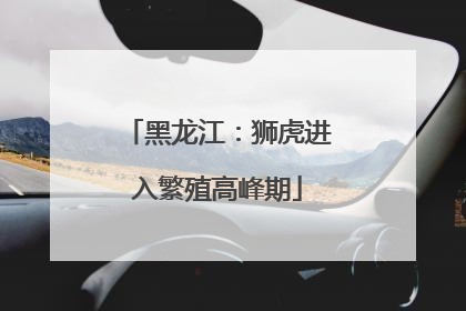 黑龙江：狮虎进入繁殖高峰期