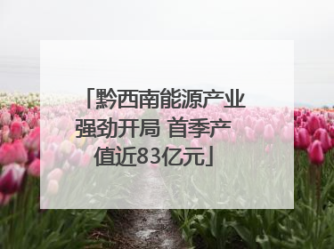 黔西南能源产业强劲开局 首季产值近83亿元