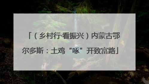 （乡村行·看振兴）内蒙古鄂尔多斯：土鸡“啄”开致富路