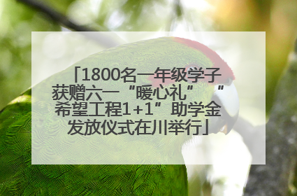 1800名一年级学子获赠六一“暖心礼” “希望工程1+1”助学金发放仪式在川举行