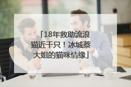 18年救助流浪猫近千只！冰城蔡大姐的猫咪情缘