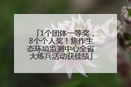 1个团体一等奖，8个个人奖！焦作生态环境监测中心全省大练兵活动获佳绩