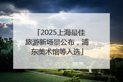 2025上海最佳旅游新场景公布，浦东美术馆等入选