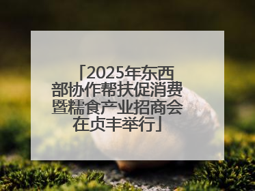 2025年东西部协作帮扶促消费暨糯食产业招商会在贞丰举行
