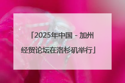 2025年中国－加州经贸论坛在洛杉矶举行
