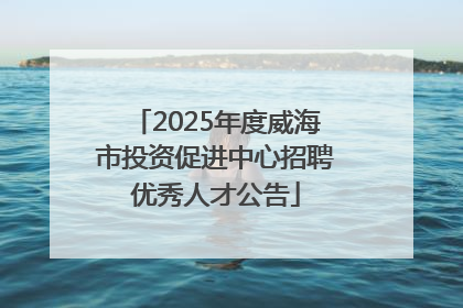 2025年度威海市投资促进中心招聘优秀人才公告