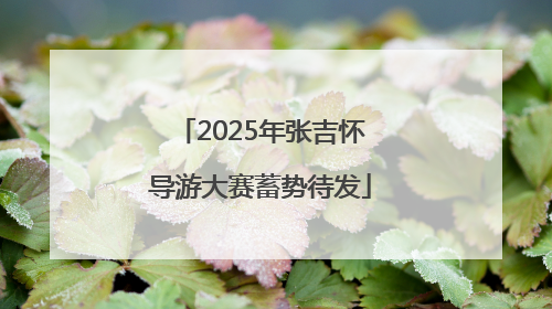 2025年张吉怀导游大赛蓄势待发