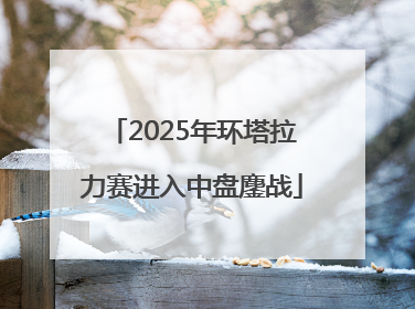2025年环塔拉力赛进入中盘鏖战