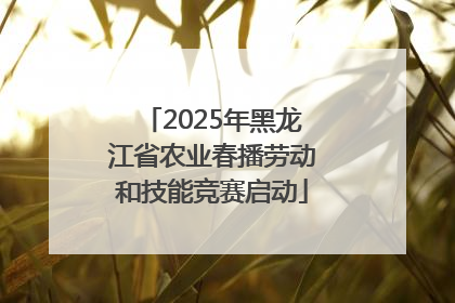 2025年黑龙江省农业春播劳动和技能竞赛启动
