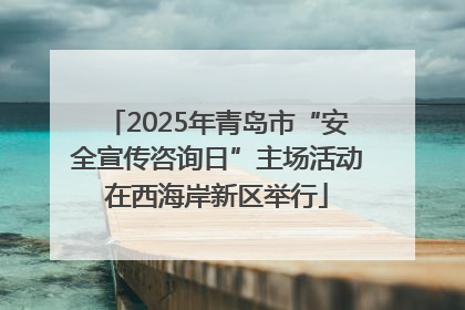 2025年青岛市“安全宣传咨询日”主场活动在西海岸新区举行