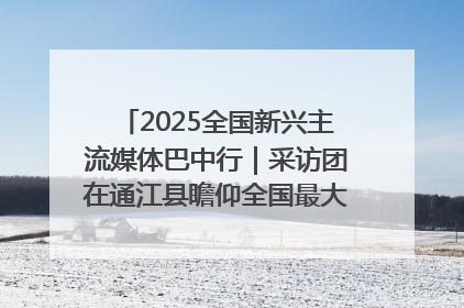 2025全国新兴主流媒体巴中行｜采访团在通江县瞻仰全国最大红军烈士陵园