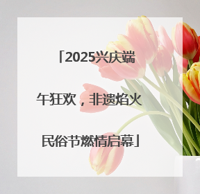 2025兴庆端午狂欢，非遗焰火民俗节燃情启幕