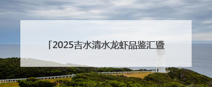 2025吉水清水龙虾品鉴汇暨上下老街美食季系列活动开幕