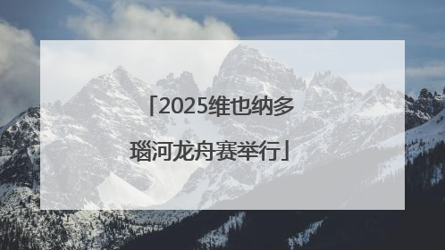 2025维也纳多瑙河龙舟赛举行