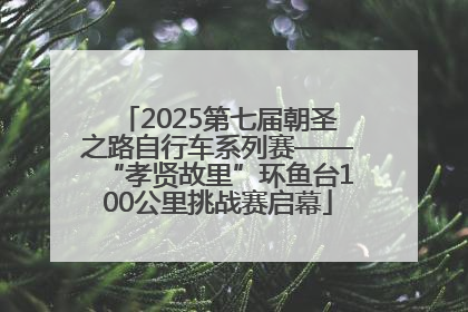 2025第七届朝圣之路自行车系列赛——“孝贤故里”环鱼台100公里挑战赛启幕