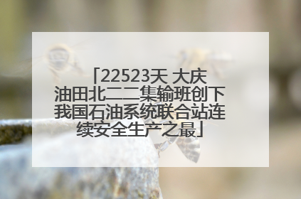 22523天 大庆油田北二二集输班创下我国石油系统联合站连续安全生产之最