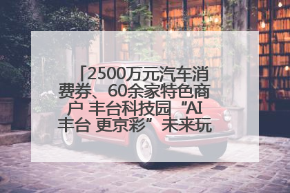 2500万元汽车消费券、60余家特色商户 丰台科技园“AI丰台 更京彩”未来玩家市集活动正式开幕
