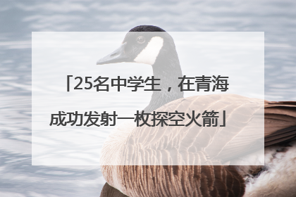 25名中学生，在青海成功发射一枚探空火箭