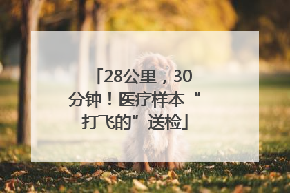 28公里，30分钟！医疗样本“打飞的”送检