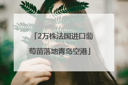 2万株法国进口葡萄苗落地青岛空港
