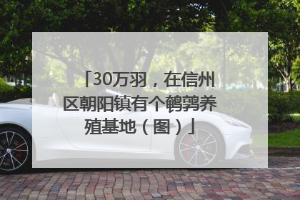 30万羽，在信州区朝阳镇有个鹌鹑养殖基地（图）