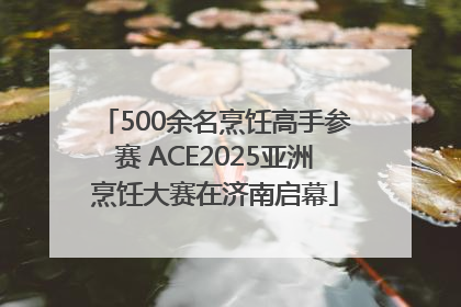 500余名烹饪高手参赛 ACE2025亚洲烹饪大赛在济南启幕