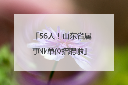 56人！山东省属事业单位招聘啦